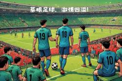 关于球场上的激情盛宴，全球足球迷共同见证！的信息