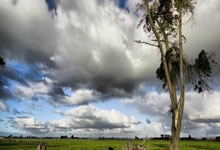 南安普顿惨败收场，连败势如破竹