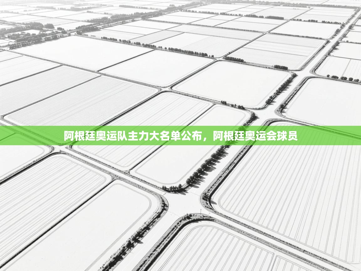 阿根廷奥运队主力大名单公布，阿根廷奥运会球员  第1张