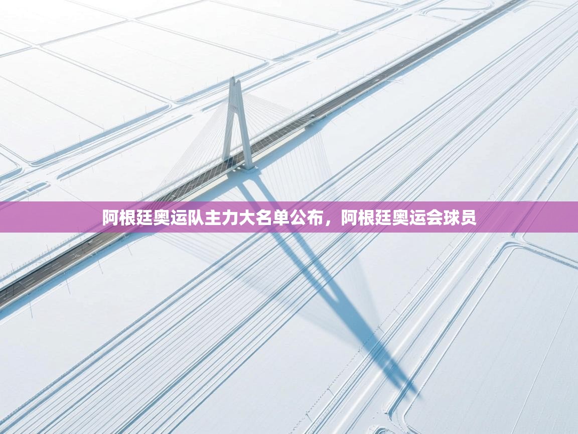 阿根廷奥运队主力大名单公布，阿根廷奥运会球员  第2张