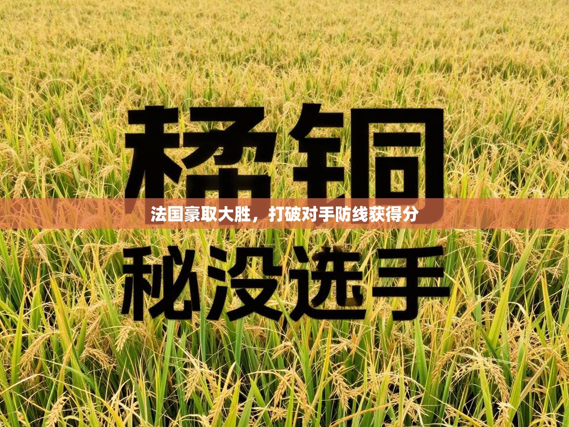 法国豪取大胜，打破对手防线获得分  第1张