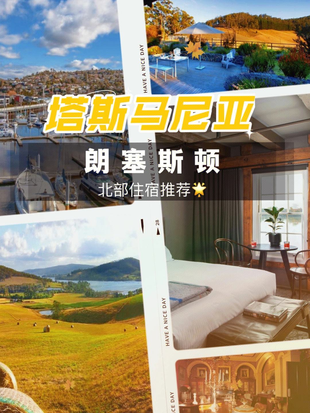 塔斯马尼亚联新星爆发，挑战卡尔蒂斯防线坚固